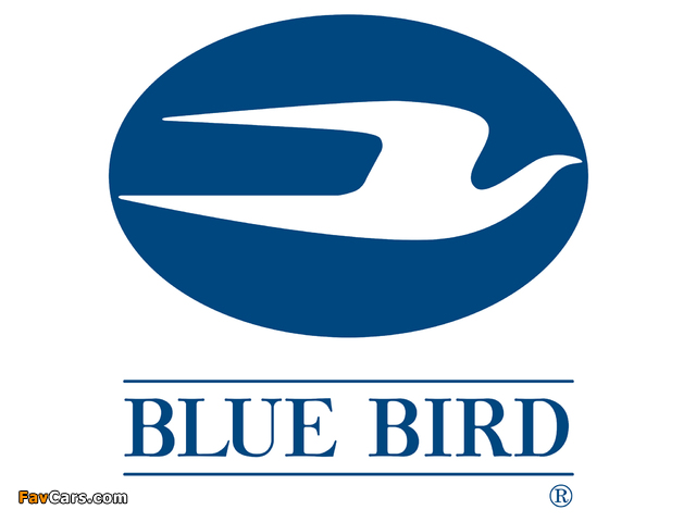 Images of Blue Bird (640 x 480)