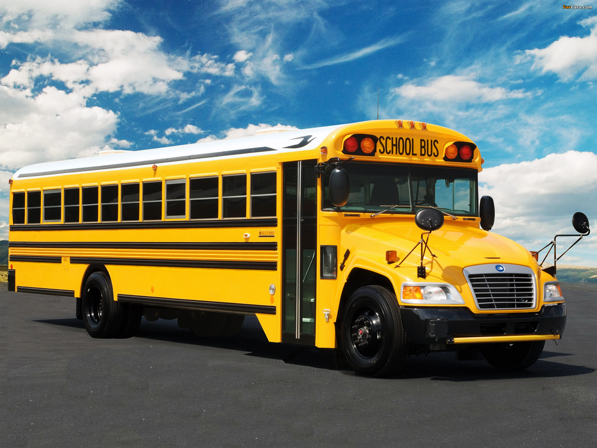 Images of Blue Bird Vision School Bus 2008 (2048 x 1536)