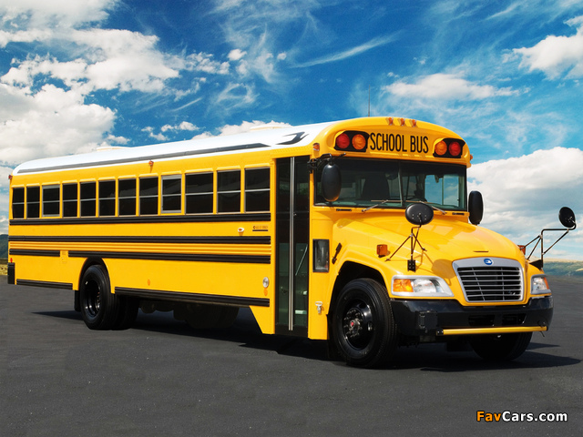 Images of Blue Bird Vision School Bus 2008 (640 x 480)