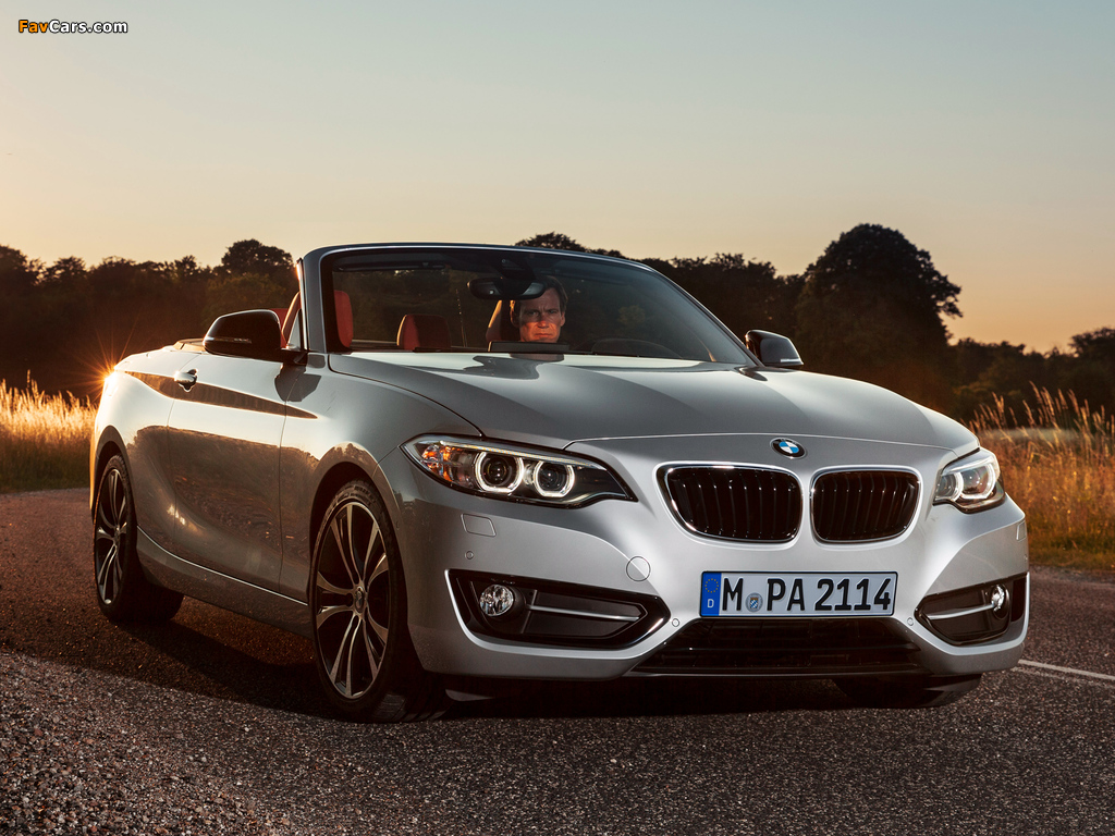 BMW 228i Cabrio Sport Line (F23) 2014 images (1024 x 768)