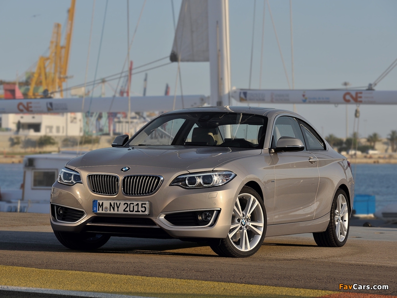 BMW 220d Coupé Modern Line (F22) 2014 images (800 x 600)