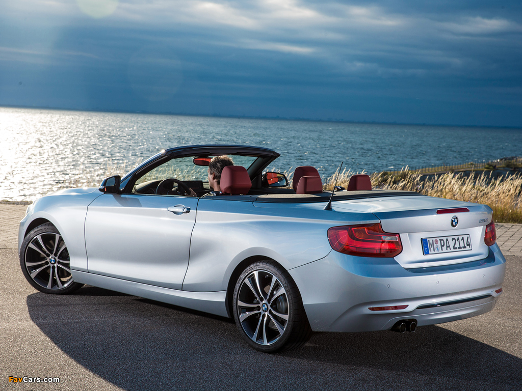 BMW 228i Cabrio Sport Line (F23) 2014 images (1024 x 768)