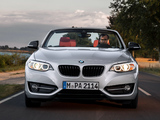 BMW 228i Cabrio Sport Line (F23) 2014 pictures