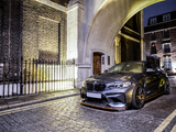 Evolve Automotive BMW M2 (F87) 2016 images