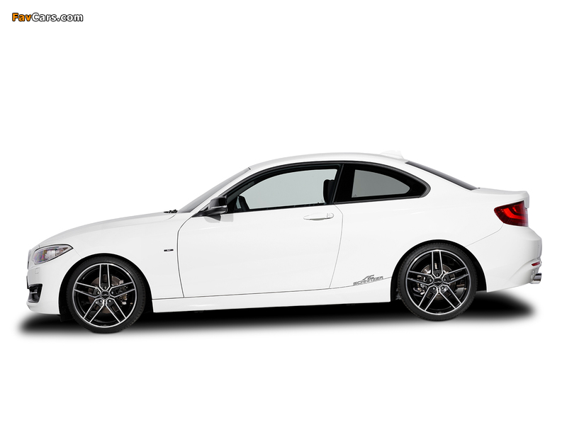 Images of AC Schnitzer ACS2 2.0i (F22) 2014 (800 x 600)