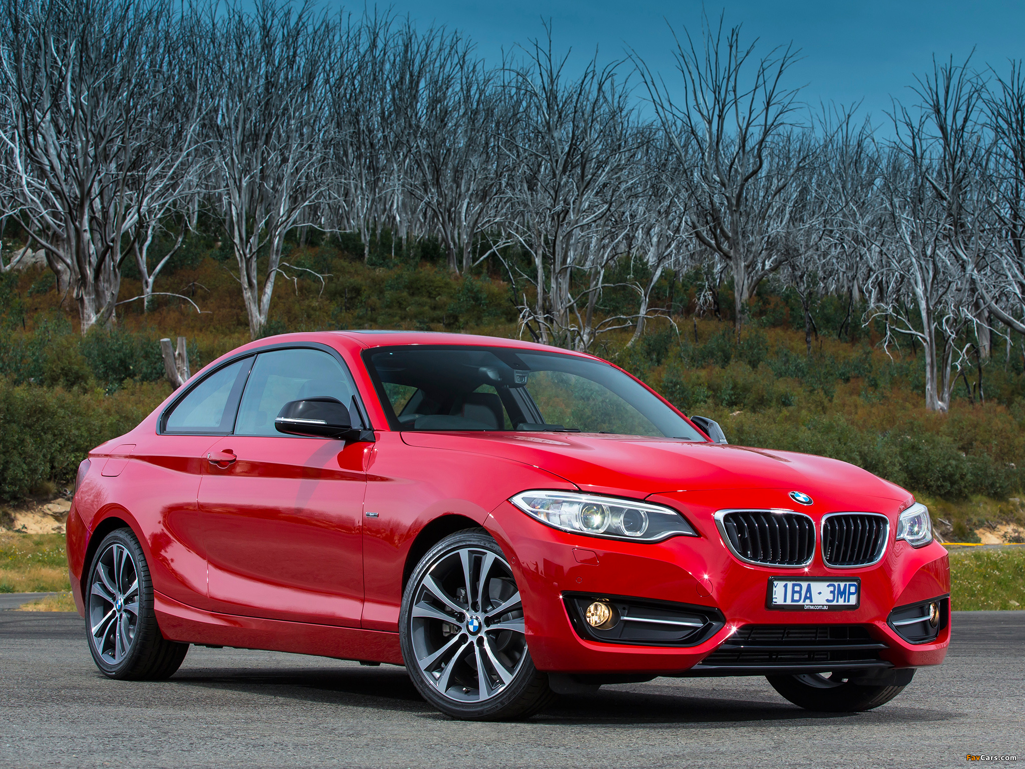 Pictures of BMW 220i Coupé Sport Line AU-spec (F22) 2014 (2048 x 1536)