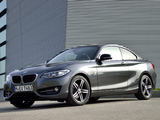 Pictures of BMW 220i Coupé Sport Line (F22) 2014