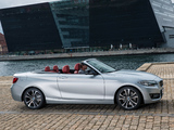 Pictures of BMW 228i Cabrio Sport Line (F23) 2014