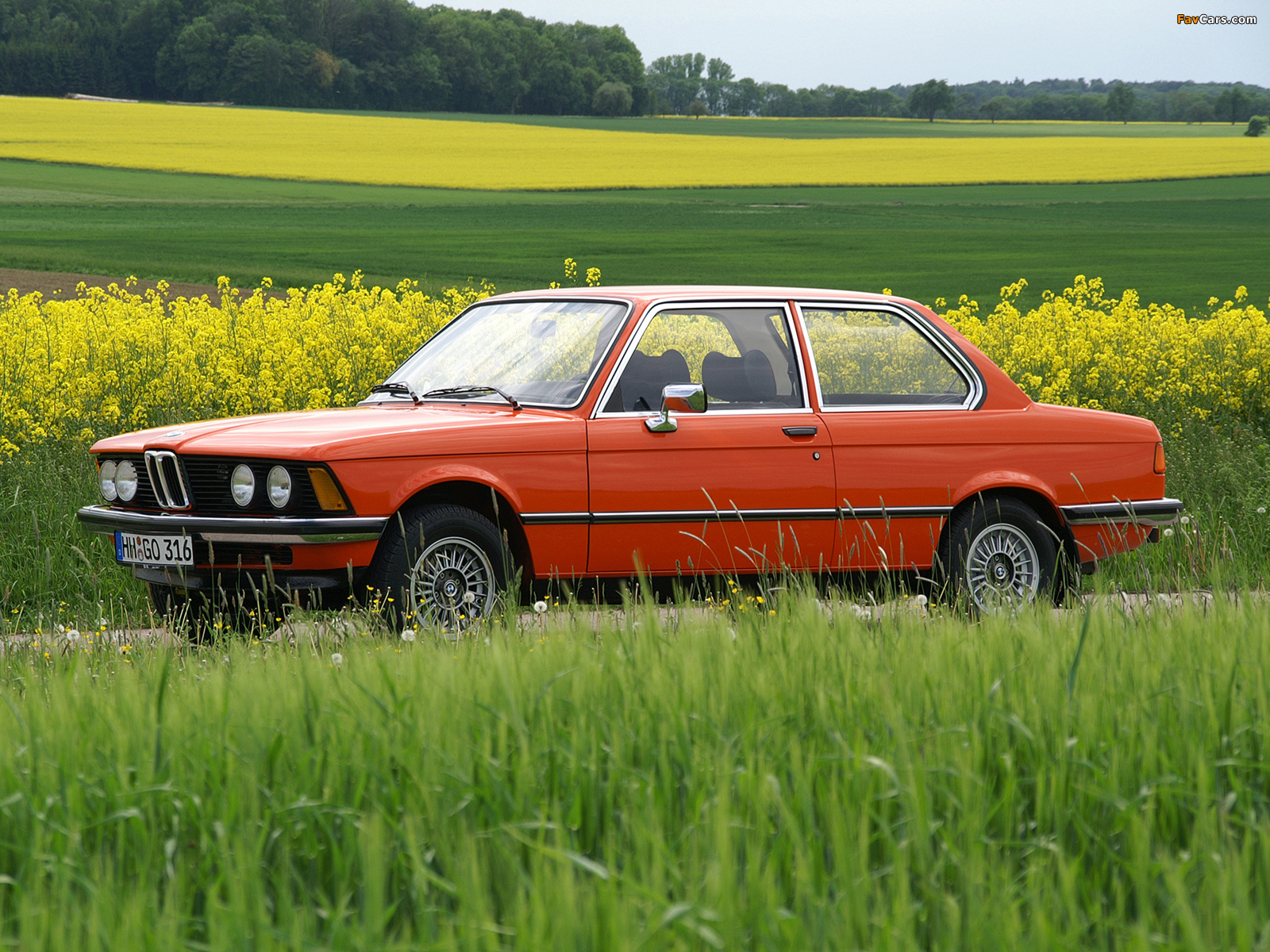 BMW 320i Coupe (E21) 1975–77 photos (1600 x 1200)