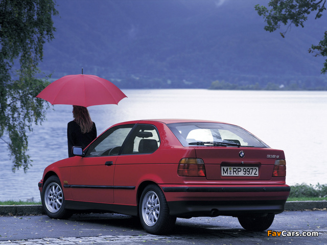BMW 318ti Compact (E36) 1994–2000 images (640 x 480)
