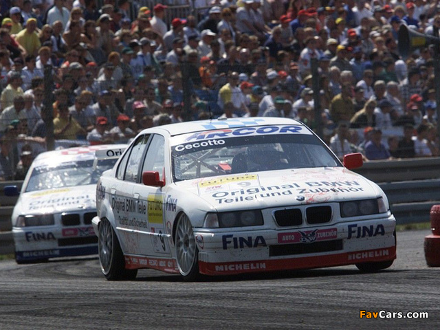 BMW 318is Super Tourenwagen Cup (E36) 1994 pictures (640 x 480)