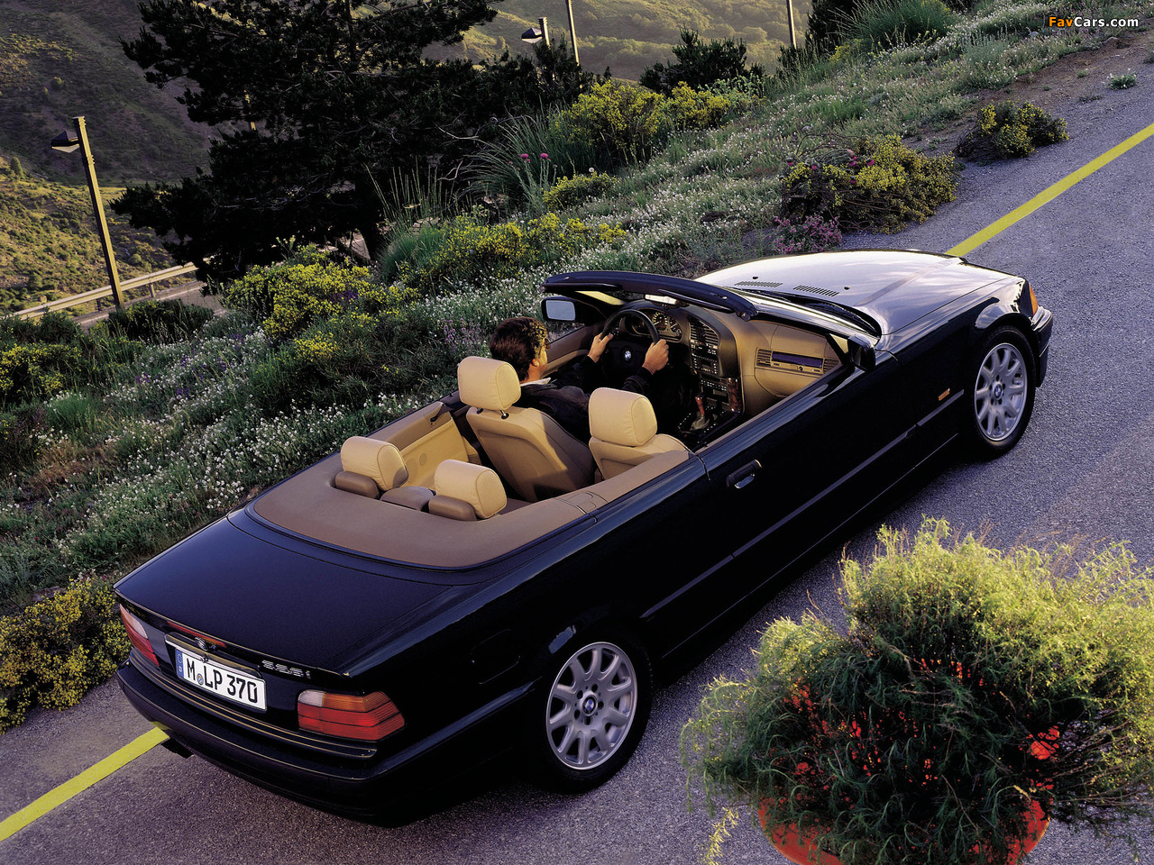 BMW 328i Cabrio (E36) 1995–99 pictures (1280 x 960)