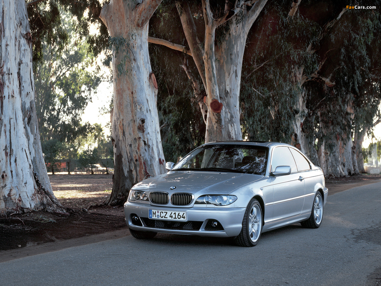 BMW 330Cd Coupe (E46) 2003–06 images (1280 x 960)