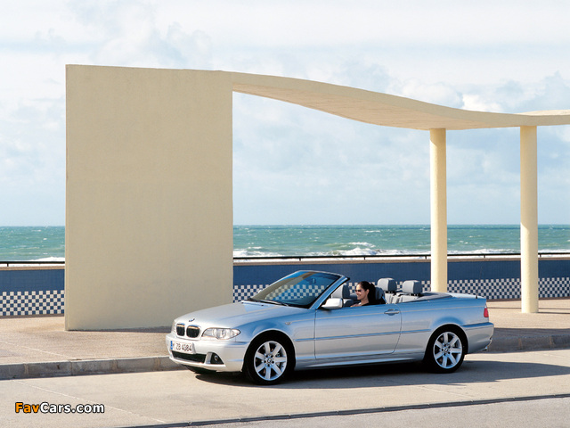 BMW 330Ci Cabrio (E46) 2003–06 photos (640 x 480)