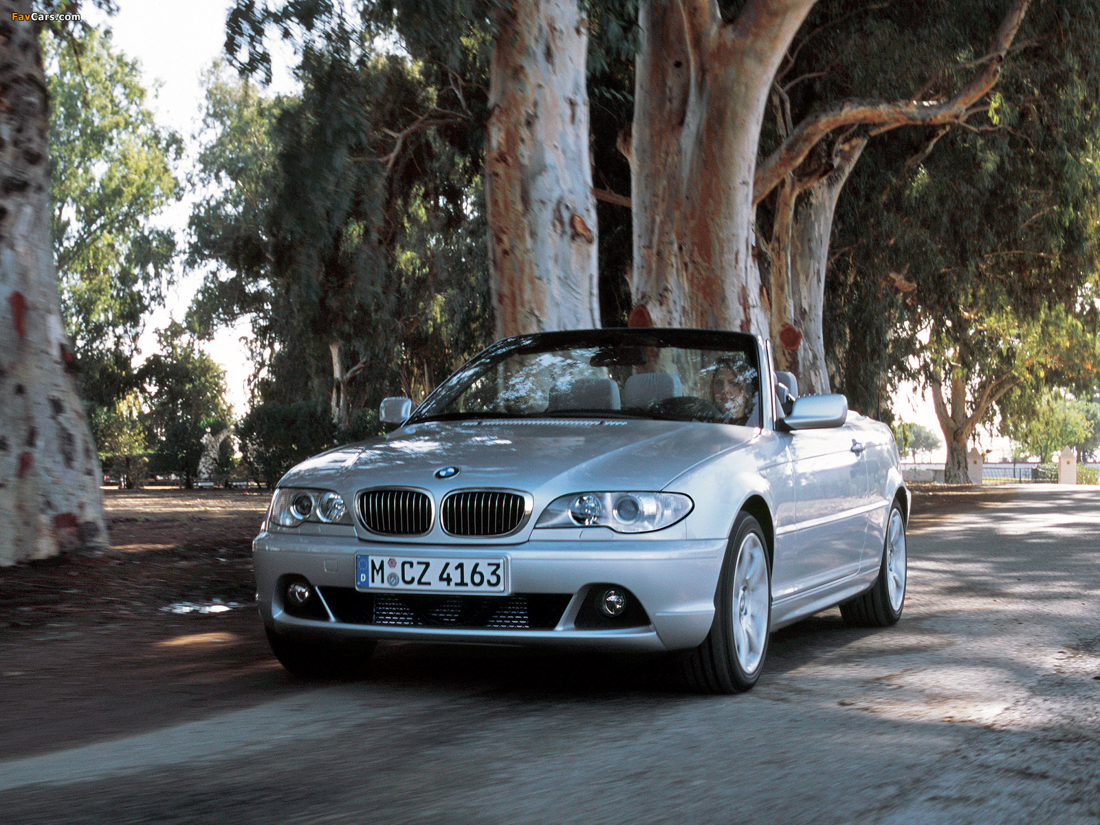 BMW 330Ci Cabrio (E46) 2003–06 photos (1600 x 1200)