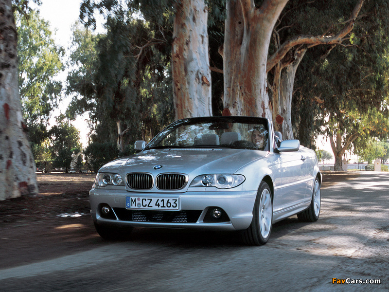 BMW 330Ci Cabrio (E46) 2003–06 photos (800 x 600)