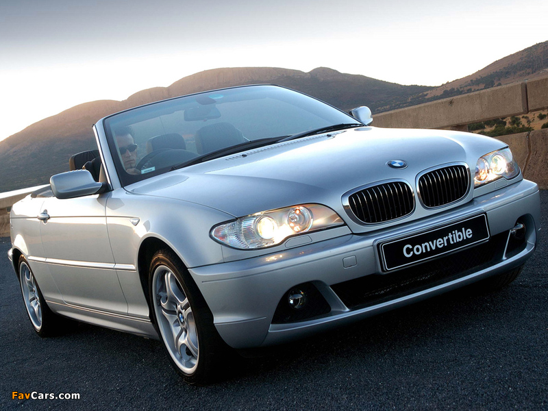 BMW 330Ci Cabrio ZA-spec (E46) 2003–06 pictures (800 x 600)