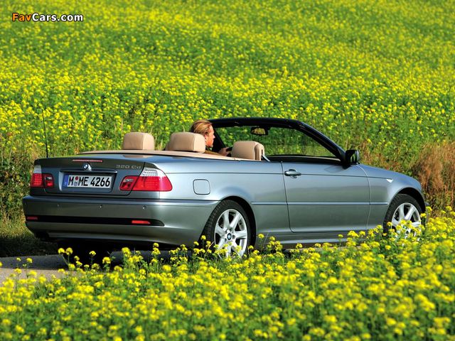 BMW 320Cd Cabrio (E46) 2004–06 pictures (640 x 480)