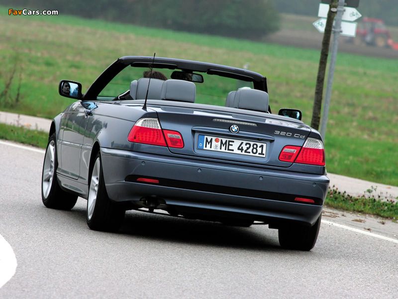 BMW 320Cd Cabrio (E46) 2004–06 pictures (800 x 600)