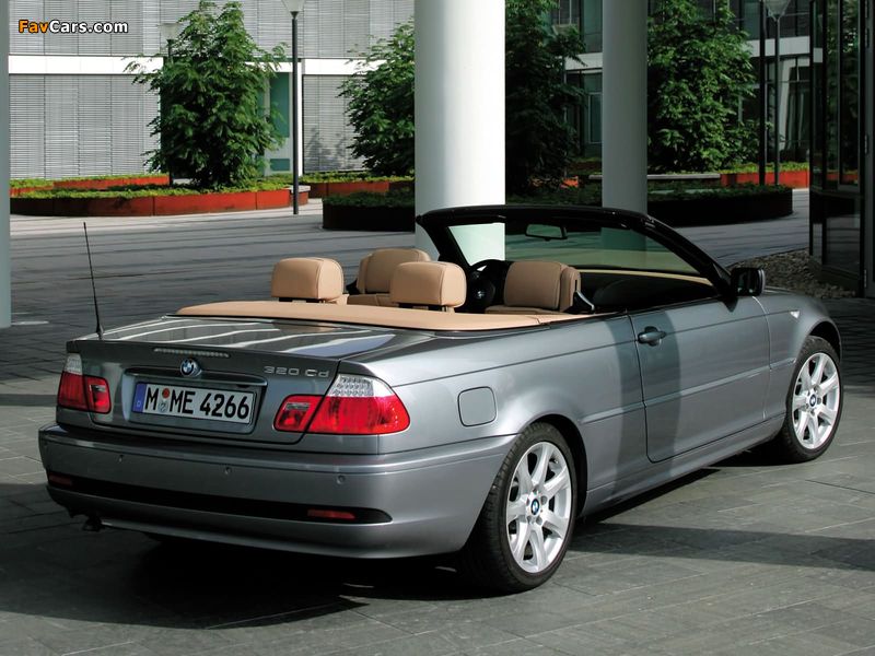 BMW 320Cd Cabrio (E46) 2004–06 pictures (800 x 600)