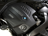 BMW 335i Sedan Luxury Line ZA-spec (F30) 2012 photos