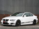 Leib GT 300 (E92) 2013 pictures