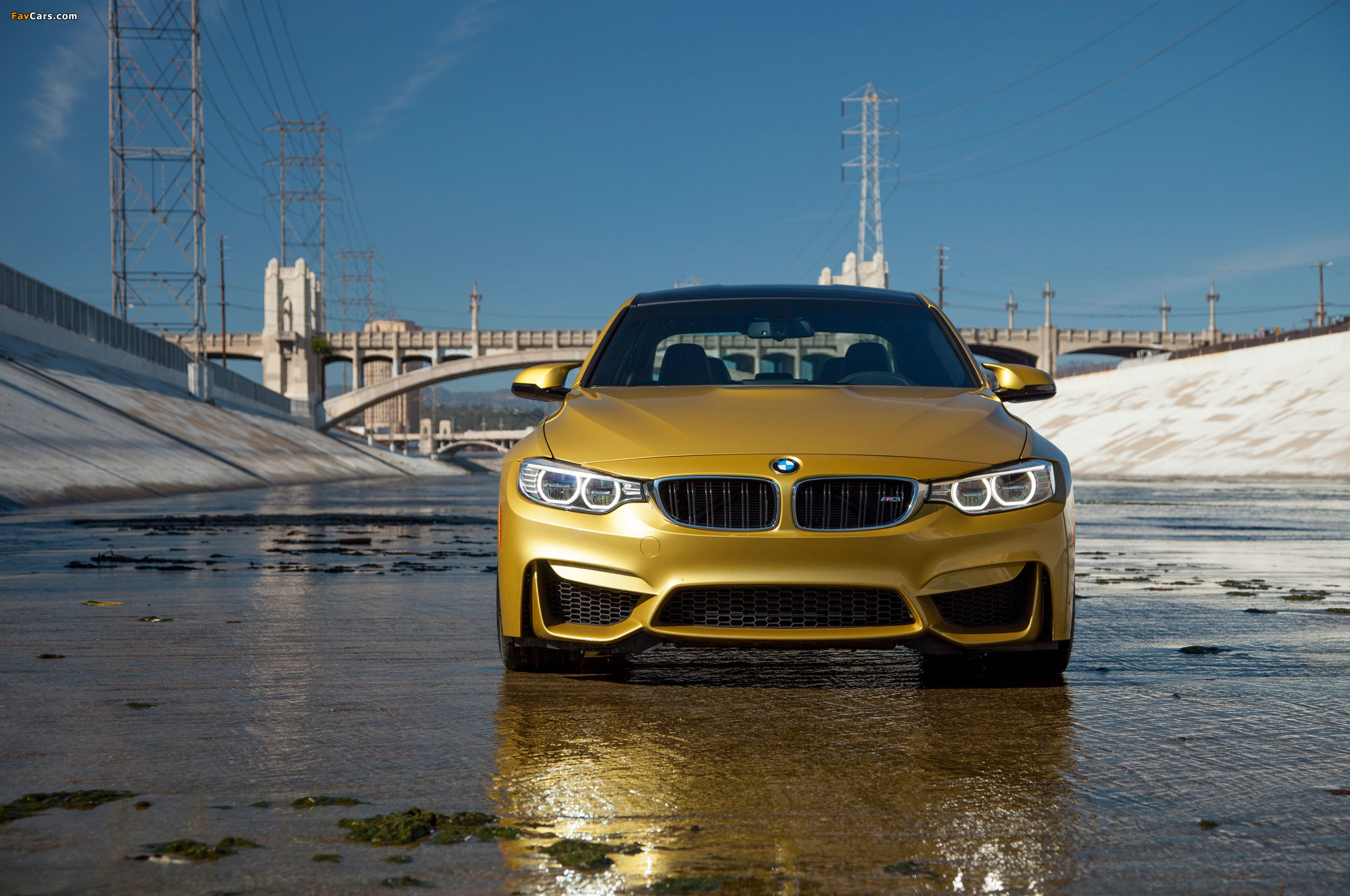 BMW M3 North America (F80) 2014 pictures (2048 x 1360)