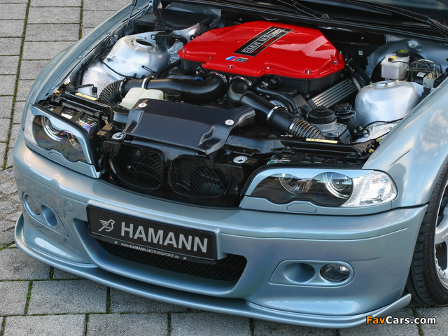 Hamann Las Vegas Wings (E46) pictures (640 x 480)