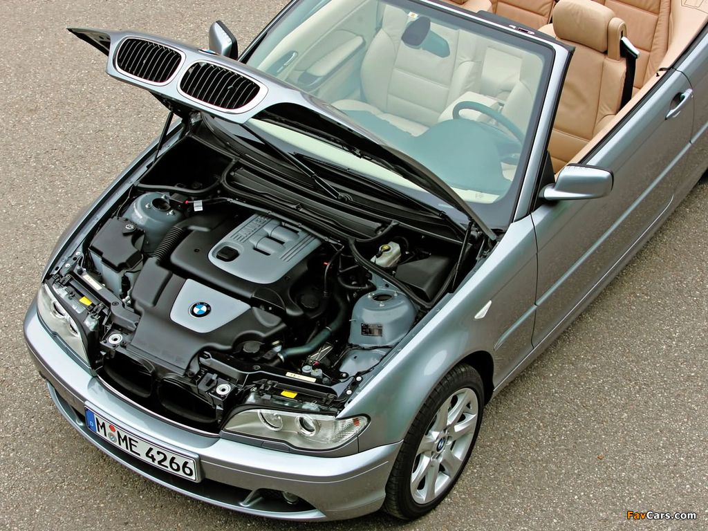 Images of BMW 320Cd Cabrio (E46) 2004–06 (1024 x 768)