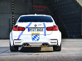 Images of BMW M3 Münchner Wirte (F80) 2015