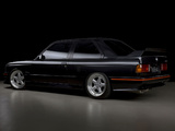 Images of AC Schnitzer S3 Sport (E30)