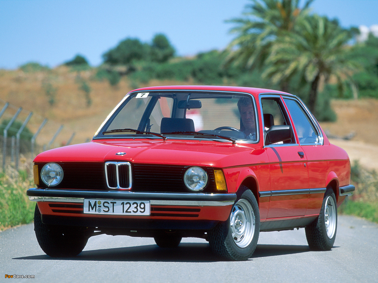 Photos of BMW 316 Coupe (E21) 1975–83 (1280 x 960)