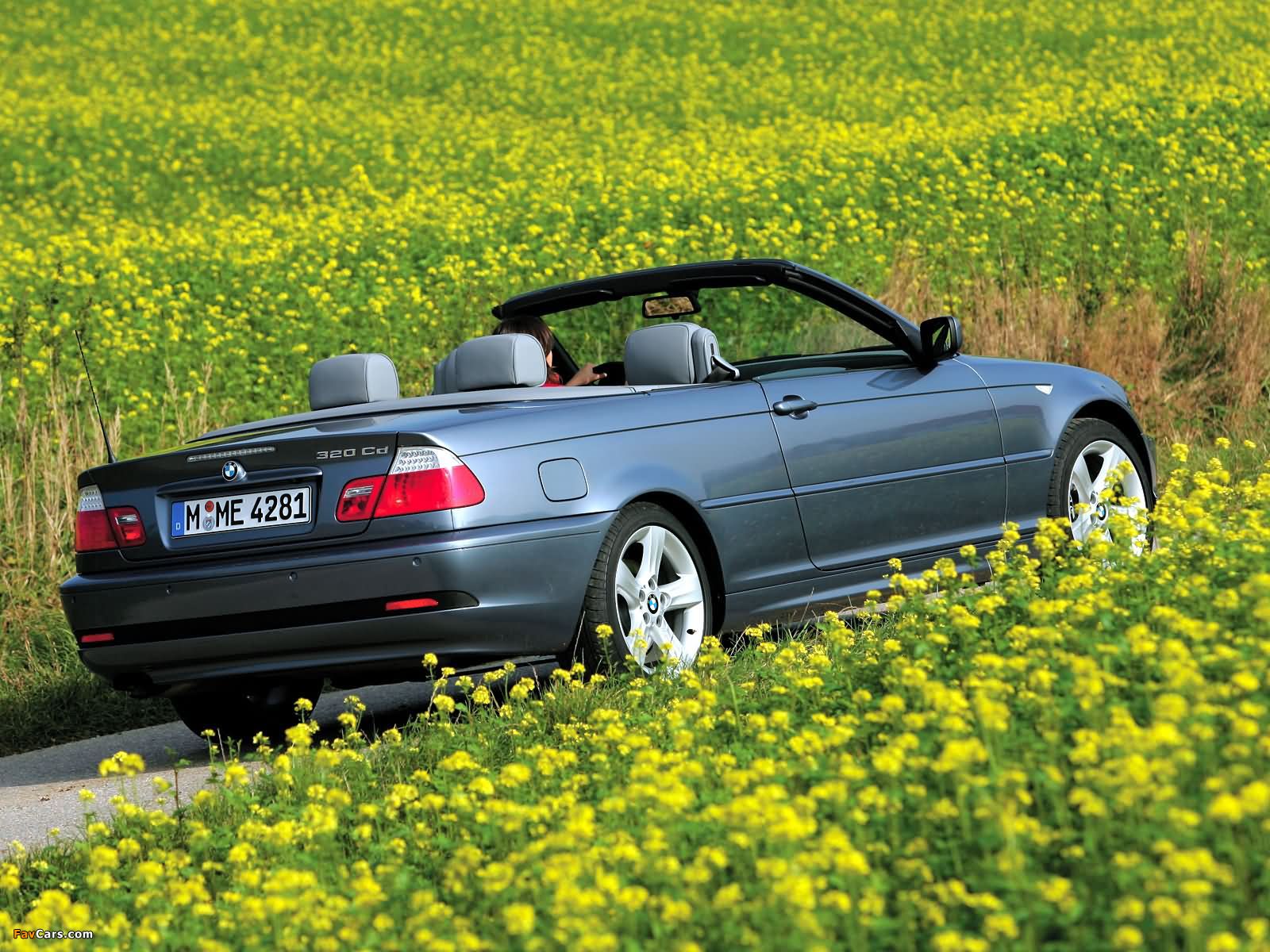 Photos of BMW 320Cd Cabrio (E46) 2004–06 (1600 x 1200)