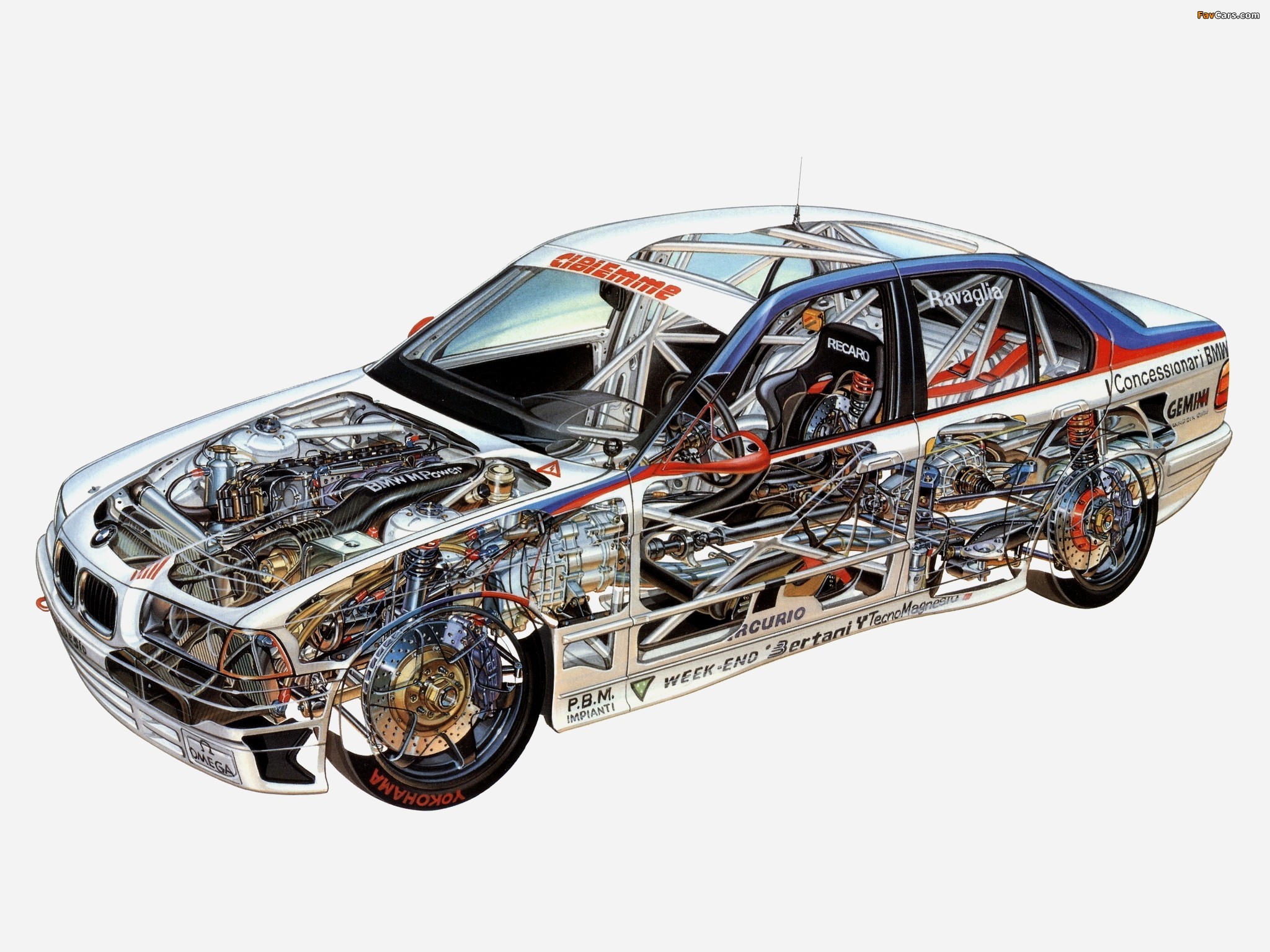 Pictures of BMW 318i Italian Superturismo Championship (E36) 1993 (2048 x 1536)