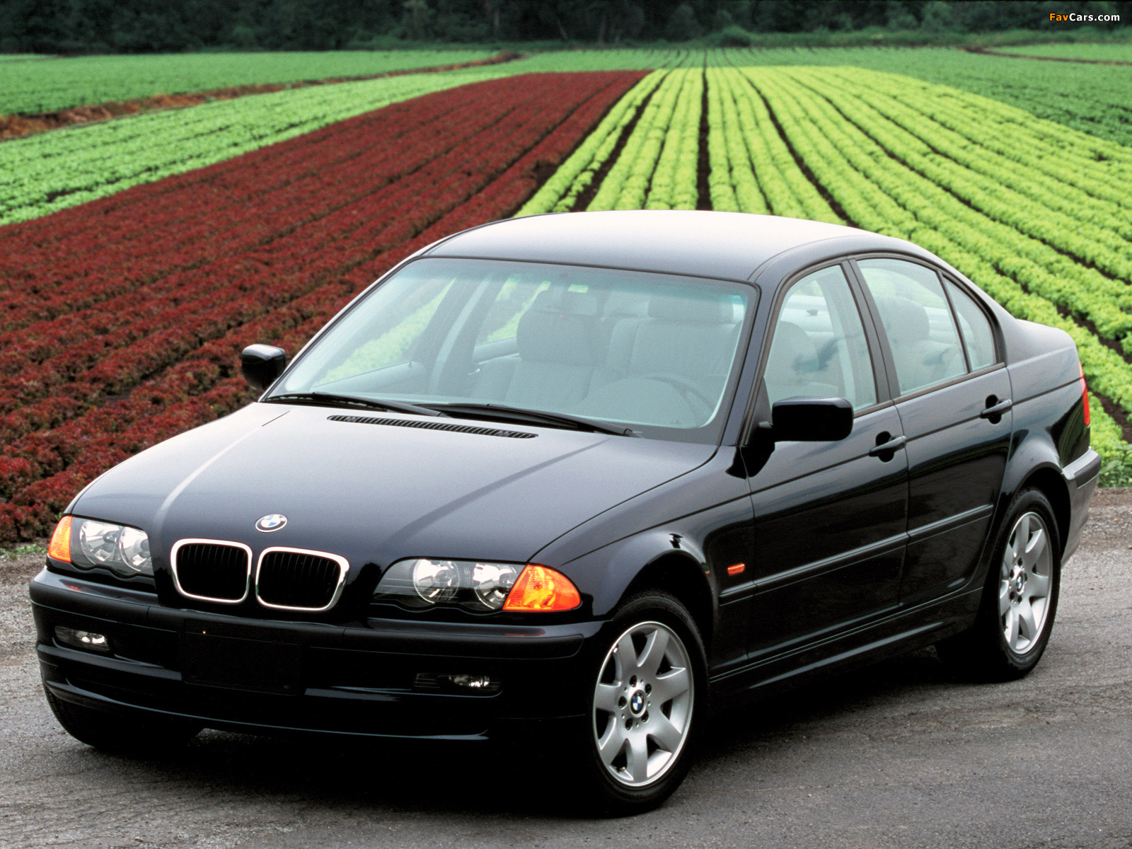 Pictures of BMW 325Xi Sedan US-spec (E46) 2000–01 (1600 x 1200)