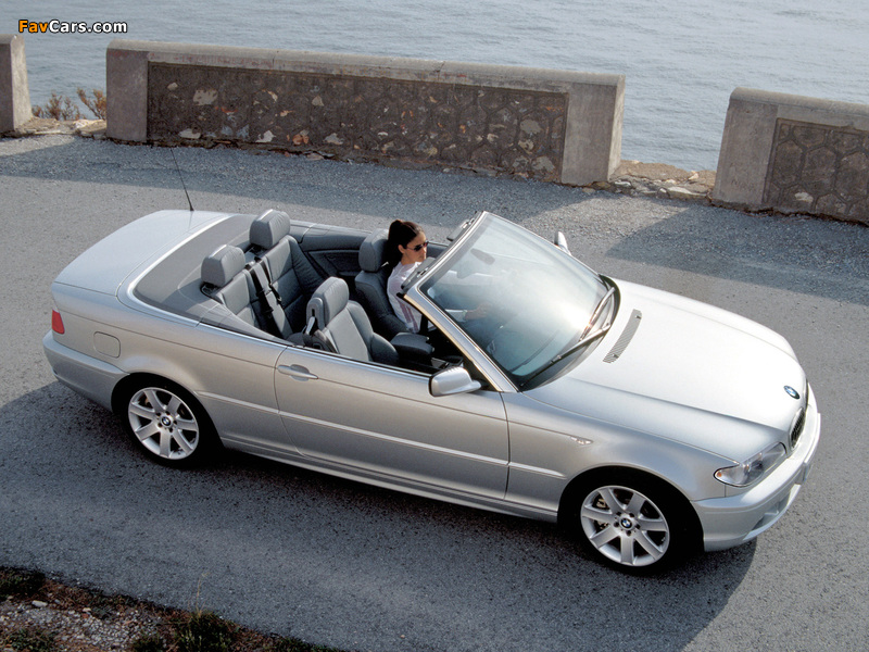 Pictures of BMW 330Ci Cabrio (E46) 2003–06 (800 x 600)