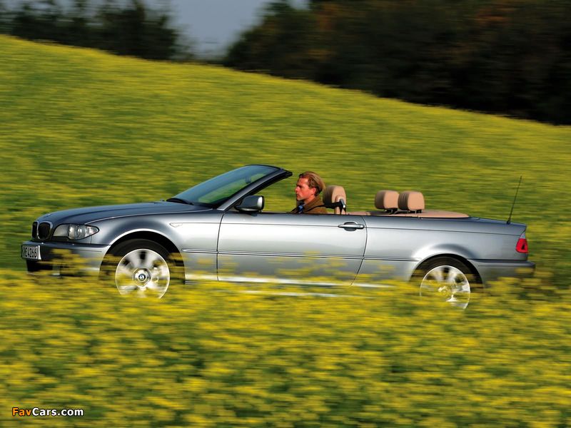 Pictures of BMW 320Cd Cabrio (E46) 2004–06 (800 x 600)