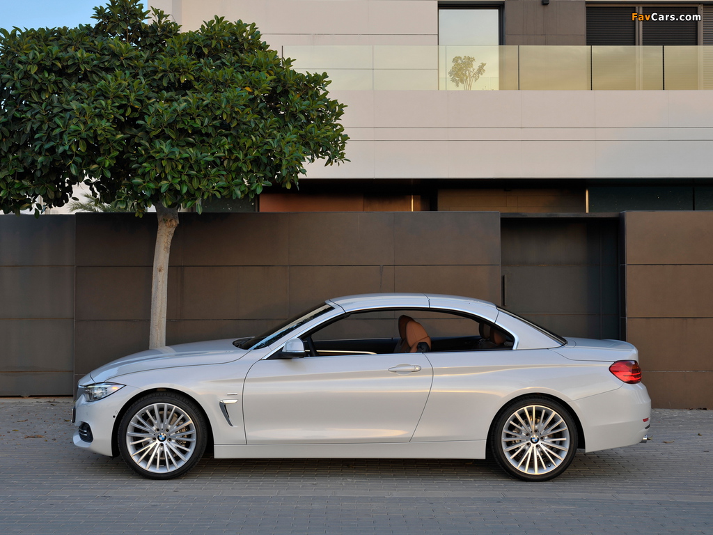 BMW 428i Cabrio Luxury Line (F33) 2013 pictures (1024 x 768)