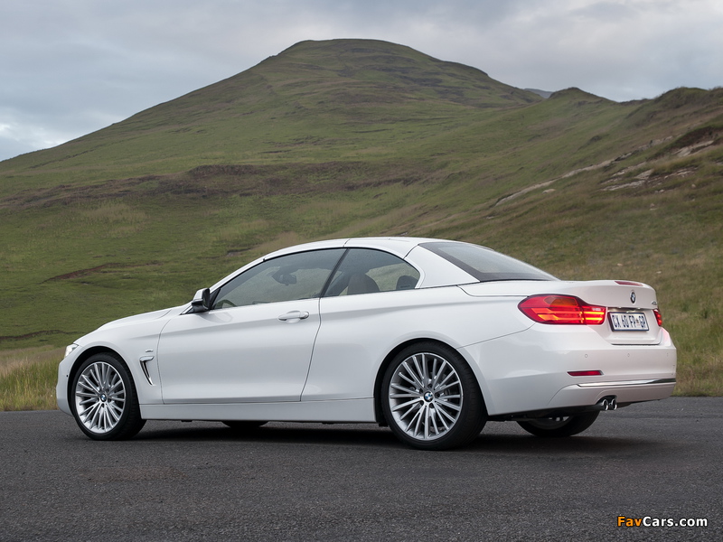 BMW 428i Cabrio Luxury Line ZA-spec (F33) 2014 photos (800 x 600)