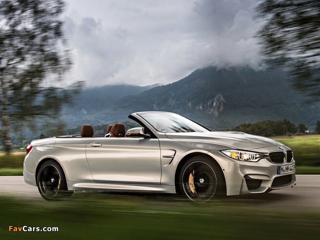 BMW M4 Cabrio Individual (F83) 2014 photos (640 x 480)