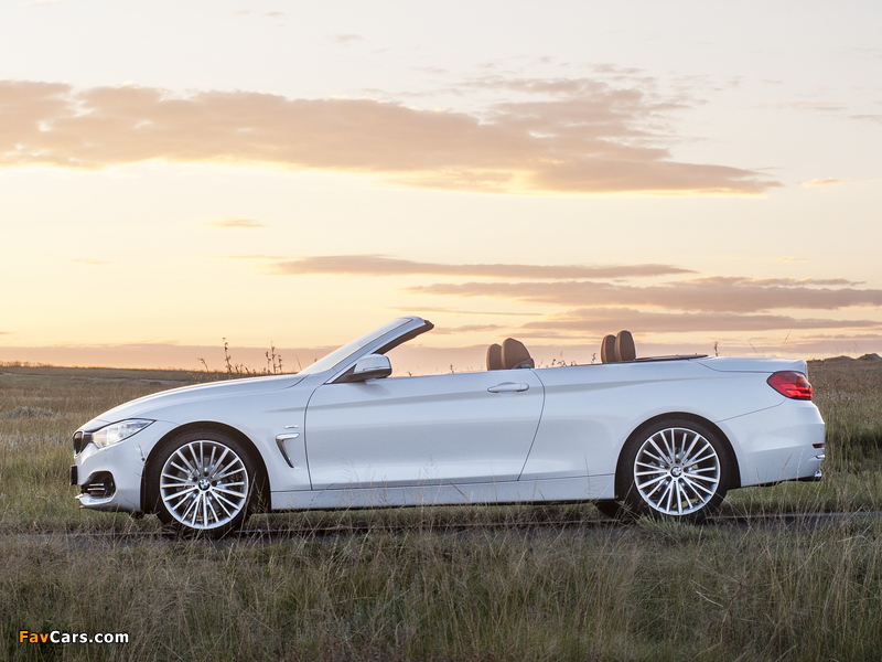 BMW 428i Cabrio Luxury Line ZA-spec (F33) 2014 photos (800 x 600)