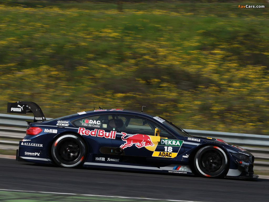 BMW M4 DTM (F82) 2014 photos (1024 x 768)