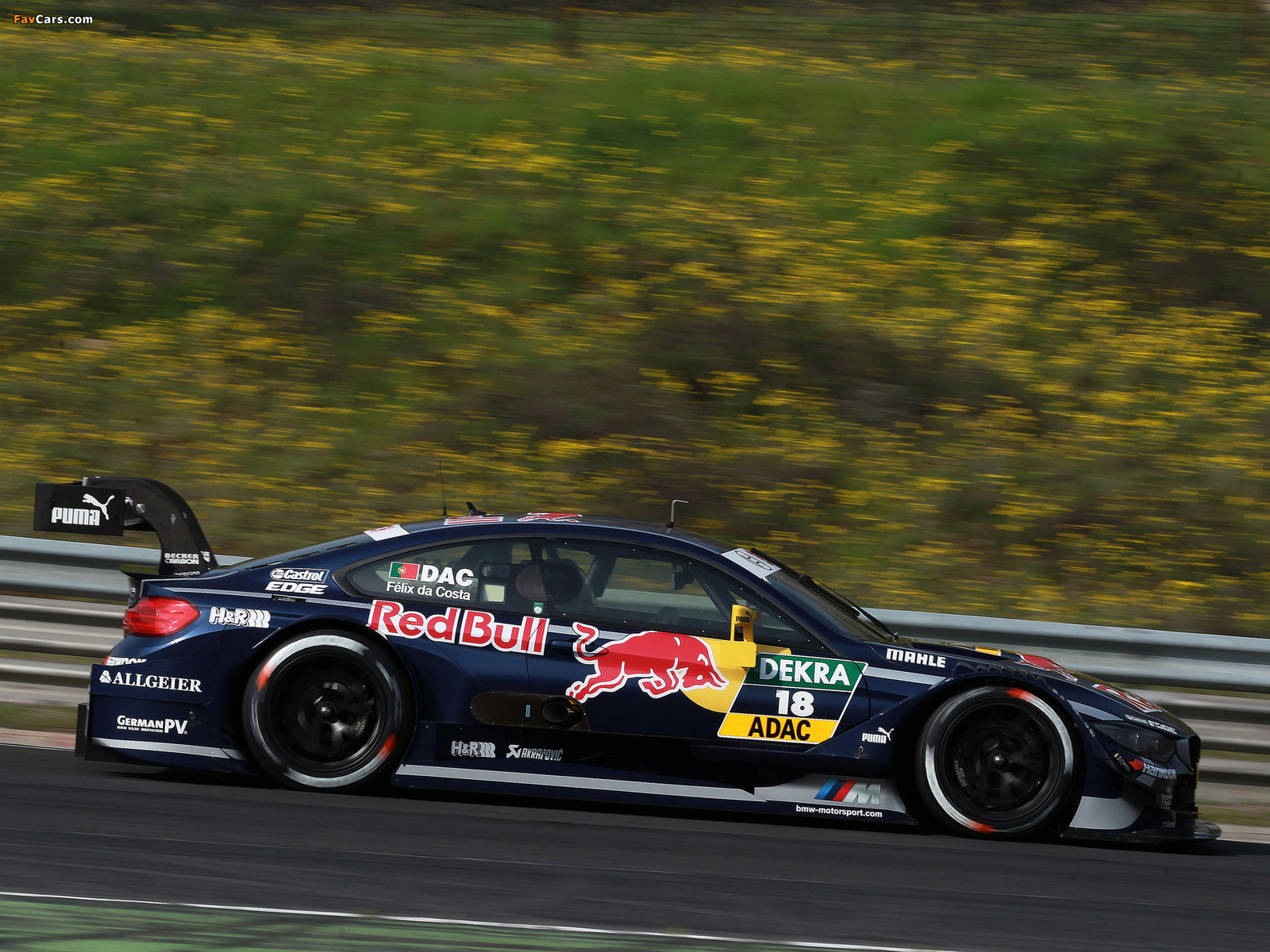 BMW M4 DTM (F82) 2014 photos (1600 x 1200)