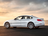 BMW 420d Gran Coupé Luxury Line (F36) 2014 pictures
