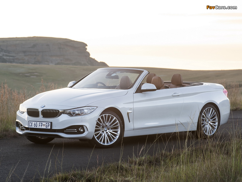 BMW 428i Cabrio Luxury Line ZA-spec (F33) 2014 pictures (800 x 600)