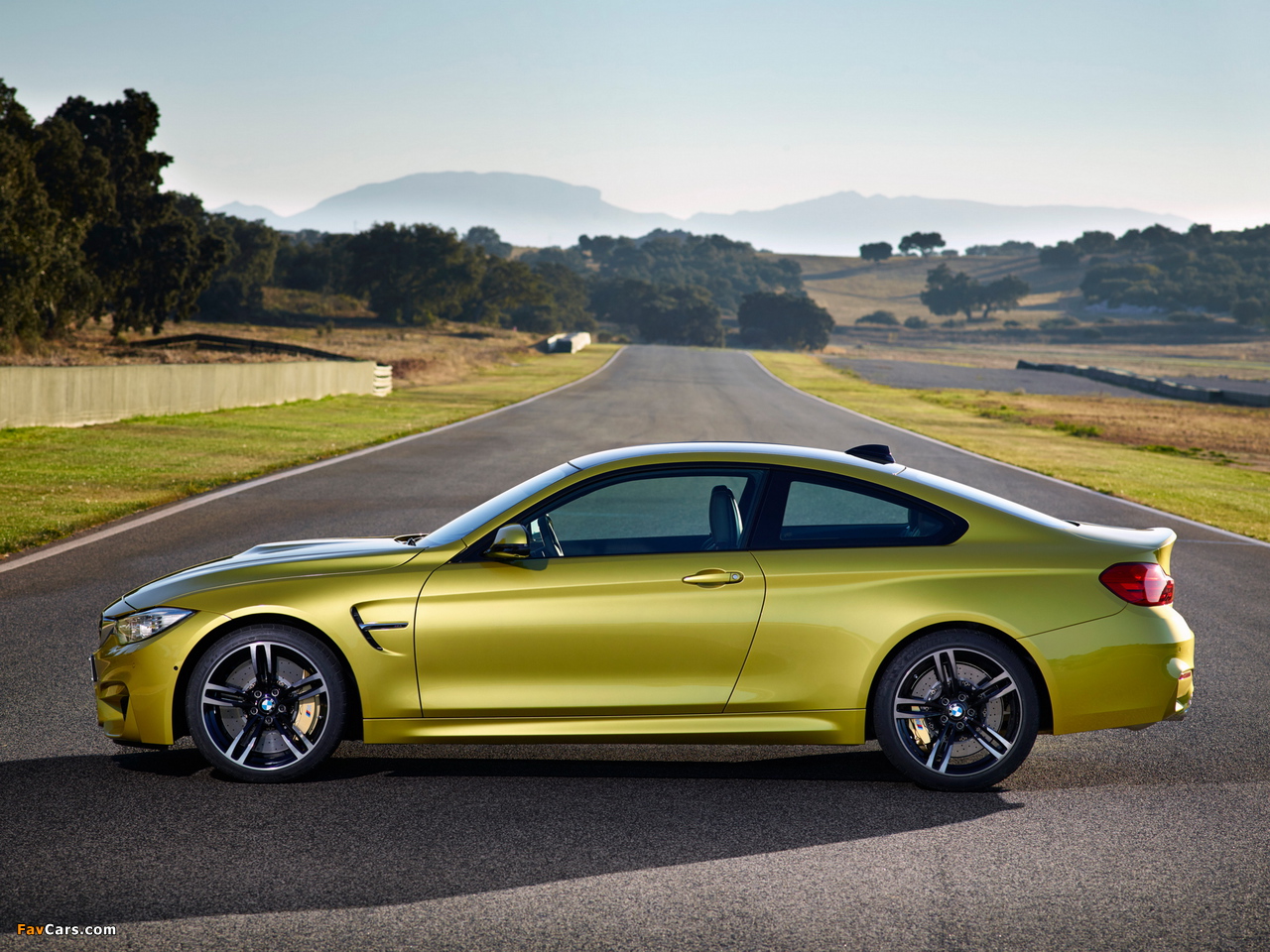 Images of BMW M4 Coupé (F82) 2014 (1280 x 960)