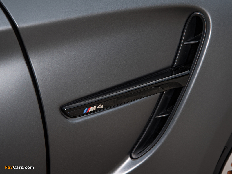 Images of BMW M4 GTS (F82) 2015 (800 x 600)