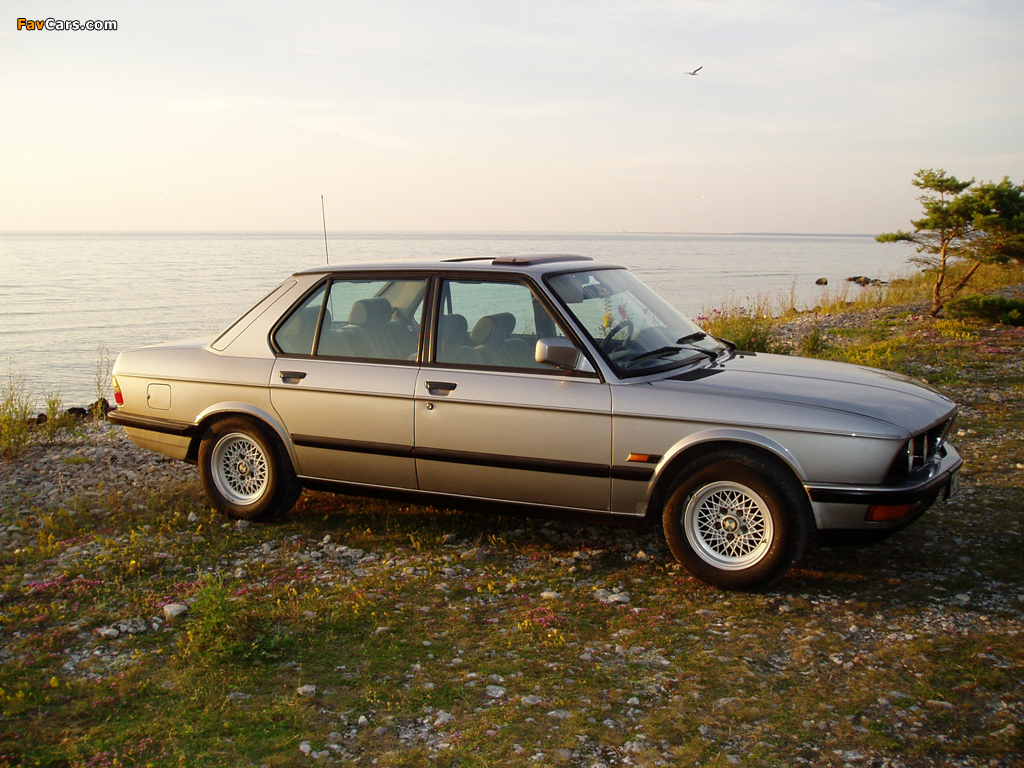 BMW 518 (E28) 1981–84 photos (1024 x 768)