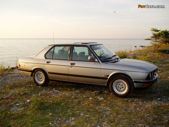 BMW 518 (E28) 1981–84 photos (640 x 480)