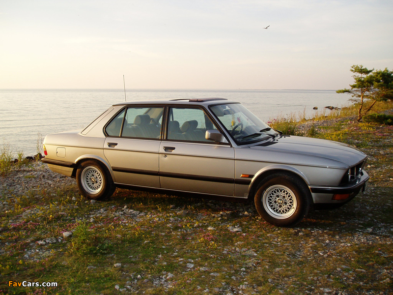 BMW 518 (E28) 1981–84 photos (800 x 600)